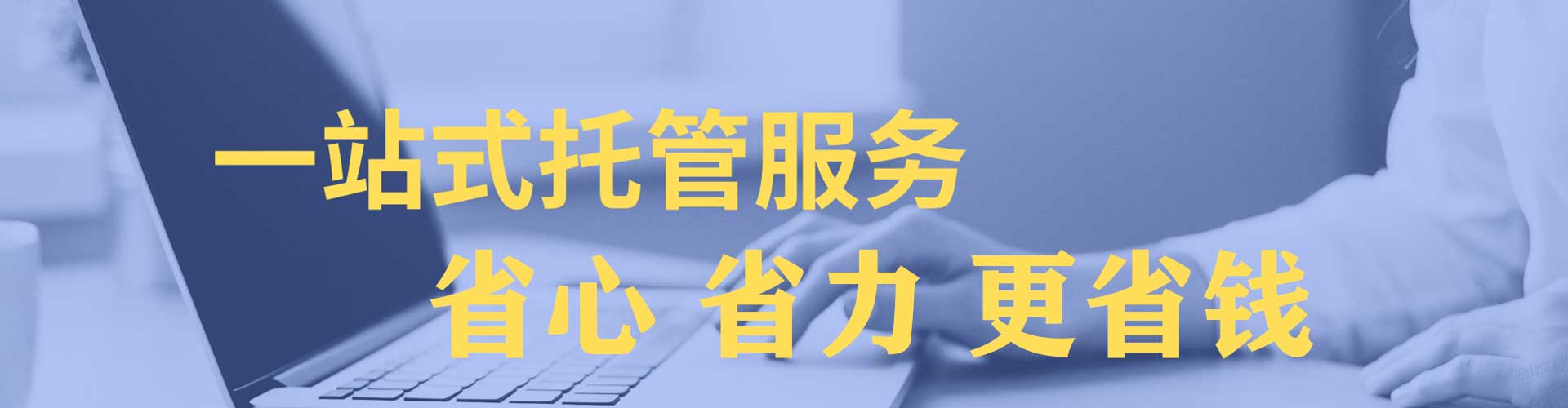 确山竞价排名