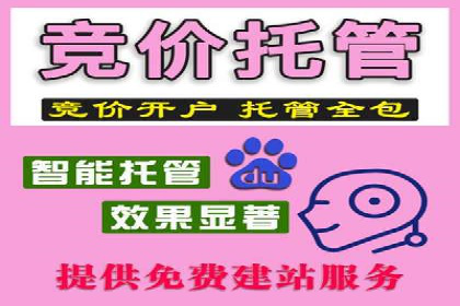 揭秘SEM托管服务案例，助力中小企业突破困境